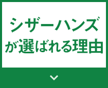 シザーハンズが選ばれる理由