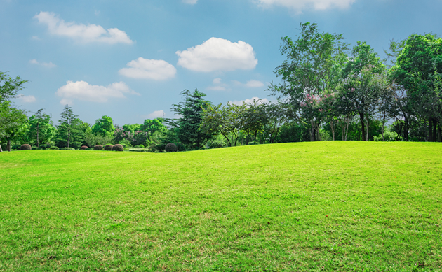 芝刈り安心保証のイメージ